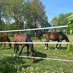 Pelnikowe Zacisze * Bobolice (Koszalin)