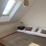 Pelnikowe Zacisze Bobolice (Koszalin)