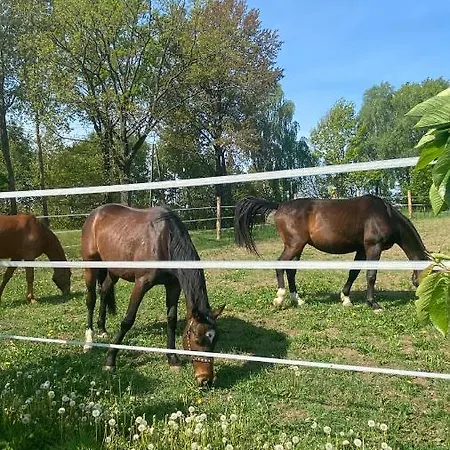 Pelnikowe Zacisze * Bobolice (Koszalin)