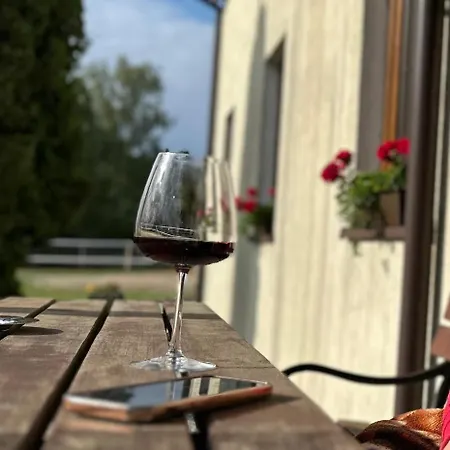 Pelnikowe Zacisze Farm stay *