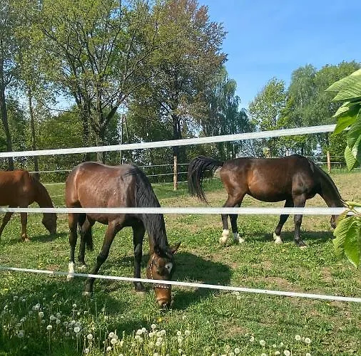 Pelnikowe Zacisze * Bobolice (Koszalin)