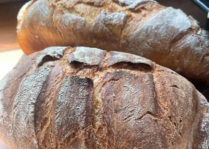 Pelnikowe Zacisze Bobolice (Koszalin)